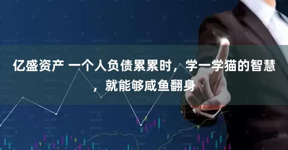 亿盛资产 一个人负债累累时，学一学猫的智慧，就能够咸鱼翻身