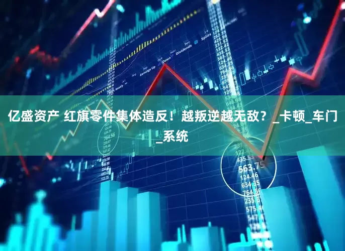 亿盛资产 红旗零件集体造反！越叛逆越无敌？_卡顿_车门_系统