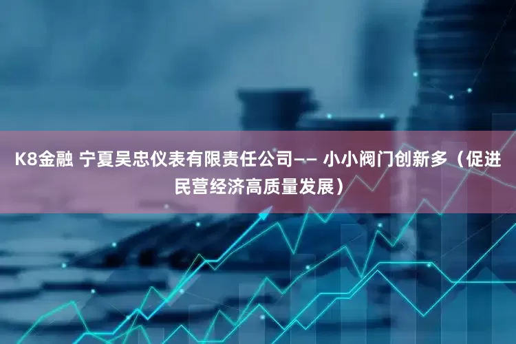 K8金融 宁夏吴忠仪表有限责任公司—— 小小阀门创新多（促进民营经济高质量发展）